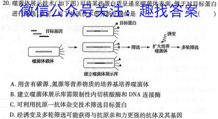 [重庆一诊]主城区科教院高2024届学业质量调研抽测(第一次)数学