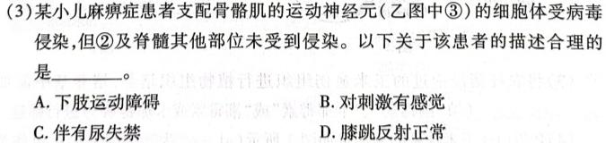 2023年陕西省初中学业水平考试·信息卷数学考试