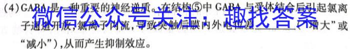 广西省2023年春季期高二年级期末教学质量监测(23-540B)数学