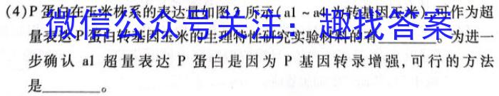 安徽六校教育研究会2023年2019级高一新生入学素质测试(2023.8)数学