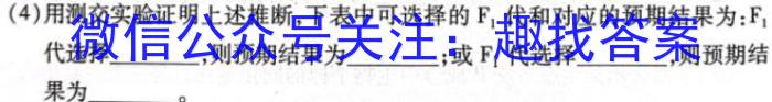 天一大联考 2024-2023学年高一年级阶段性测试(五)数学