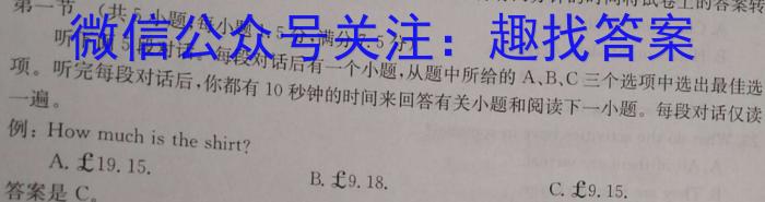 龙岩市2024-2023学年第二学期期末高二教学质量检查英语