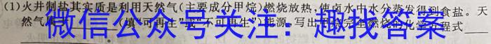 文博志鸿 2023年河南省普通高中招生考试试卷(夺冠一)化学