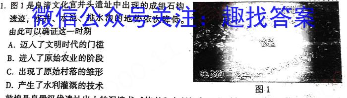 文博志鸿 2023年河北省初中毕业生升学文化课模拟考试(状元卷一)历史