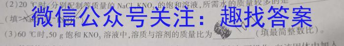 2023年陕西省初中学业水平考试模拟试题化学