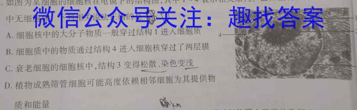 安徽省2025届七年级下学期教学评价三数学