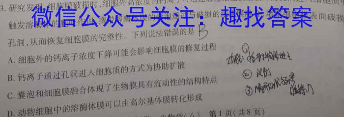 [哈三中四模]2024年哈三中高三学年第四次模拟数学