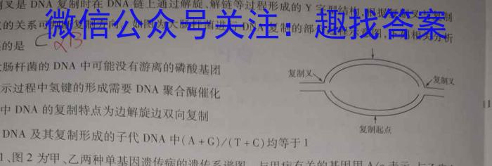 江西省瑞昌市2023-2024学年度上学期七年级期中考试试卷数学