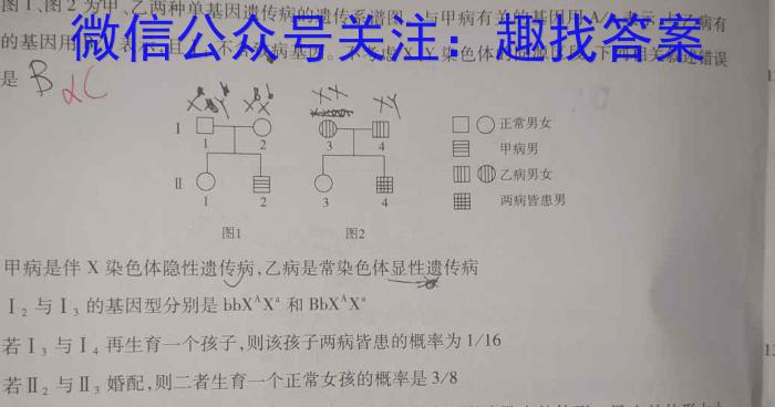 2024届陕西省高三考试5月(云朵和上下箭头)数学