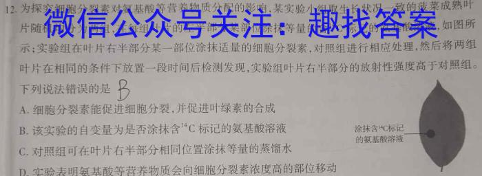 安徽省2023~2024学年度八年级综合模拟卷(四)4MNZX A AH数学