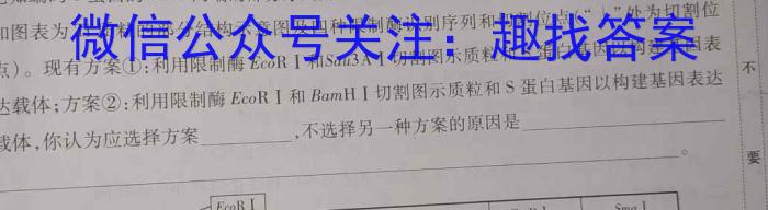 安徽省2024-2025学年高二年级上学期阶段检测联考（9月）数学