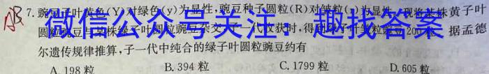 江西省吉安市2024-2025学年上学期高二年级开学考试数学