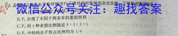 河南省2023-2024学年上学期九年级第三次核心素养检测数学