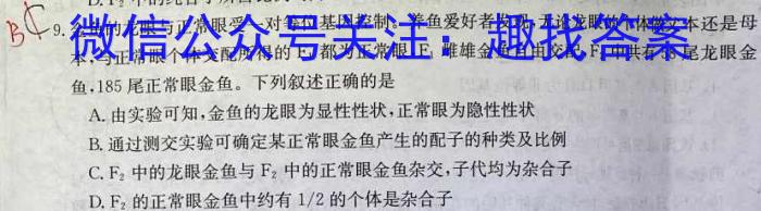 伯乐马2024年普通高等学校招生模拟考试(九)数学