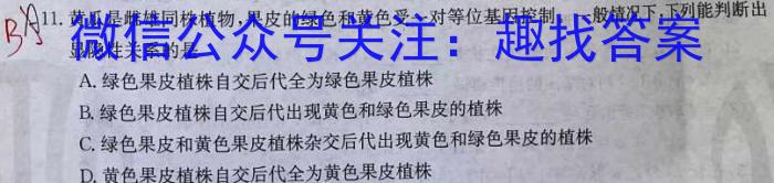 楚雄州中小学2023-2024学年上学期期中教育学业质量监测（高一）数学