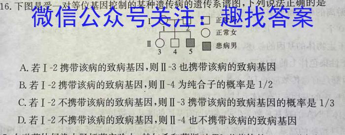 安徽省2024年八年级卷一（4月）数学