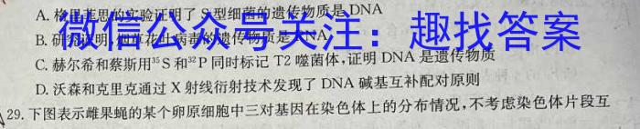 中考模拟压轴系列 2023年河北省中考适应性模拟检测(夺冠二)生物