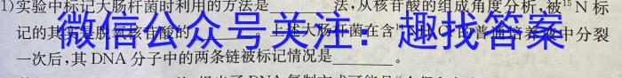 河北省2024年九年级6月模拟(一)数学