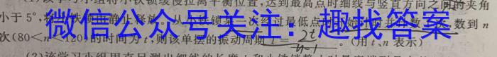 2023年陕西省初中学业水平考试模拟试卷(T4)l物理