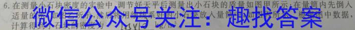 贵州省贵阳市五校2023届高三年级联合考试(黑白白白白白黑)l物理