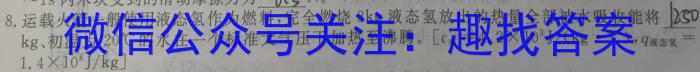 山西省忻州市2022~2023学年八年级第二学期期末教学质量监测(23-CZ261b)物理`