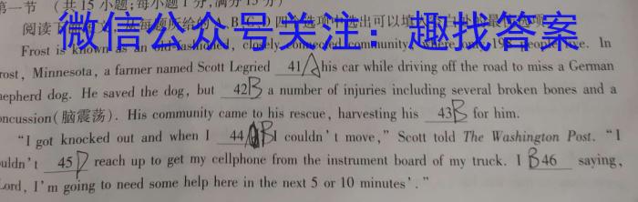 2024届分科综合检测卷(四)英语