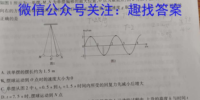 贵州省2023年毕节市高一年级联考物理.