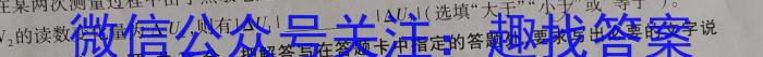 河南省2022-2023学年度八年级综合素养评估(八)8物理`