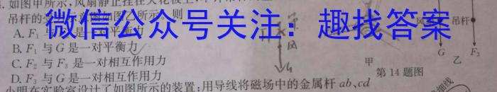 2023届河南省高一年级考试5月联考(23-484A)物理`