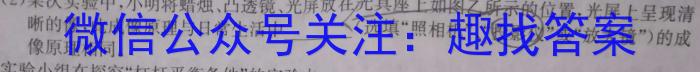 2023年湖南省普通高中学业水平合格性考试高一仿真试卷(专家版六).物理