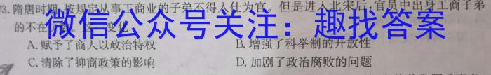 安徽省六安市金寨县2022-2023学年度八年级第二学期期末质量监测历史