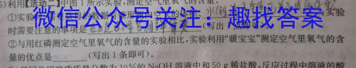 陕西省2023年九年级最新中考冲刺二（⬅➡）化学