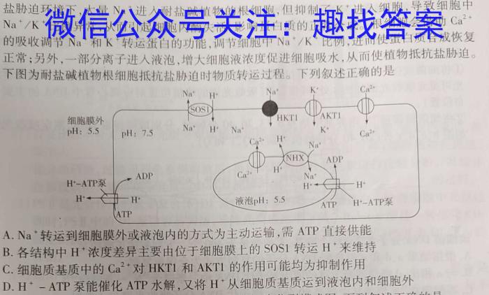 志立教育 山西省2024年中考权威预测模拟试卷(二)2数学