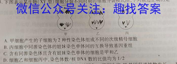 中州联盟 2022~2023学年高一下学期期末考试(231747D)数学