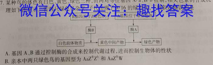 名校计划 2024年河北省中考适应性模拟检测(导向一)数学