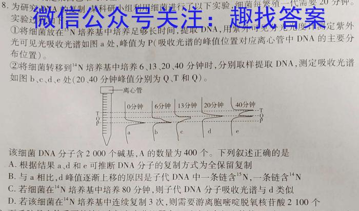 2024届高考滚动检测卷 新教材(二)数学