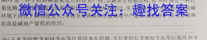 2023年陕西省初中学业水平考试全真模拟(八)文理 数学