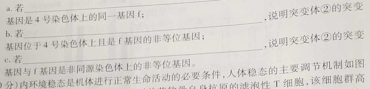 2023年岳阳县高三下学期新高考适应性测试数学考试