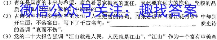 安徽省合肥市蜀山区2024-2023学年第二学期七年级学业质量检测语文