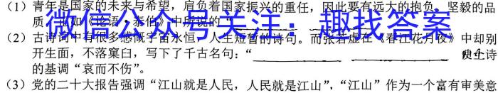 四川省南充市2022-2023学年度下期普通高中二年级学业质量监测语文