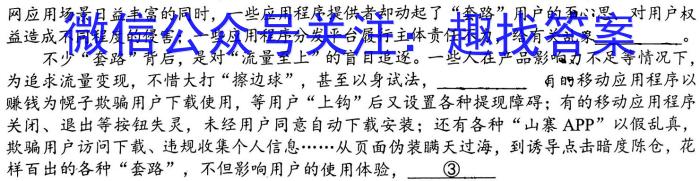 江西省2023年初中学业水平考试冲刺练习(二)语文