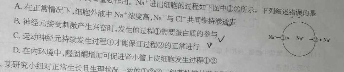耀正文化(湖南四大名校联合编审)·2023届名校名师测评卷(九)9数学考试