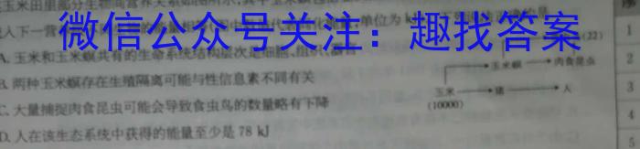 2024年河南省中招考试押题试卷(三)数学