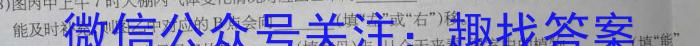 河北省2023-2024学年度七年级上学期12月第三次月考（二）数学