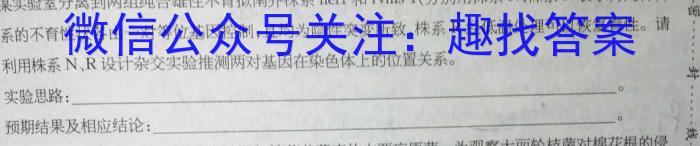 辽宁省辽阳市2023-2024学年高二上学期1月期末考试数学