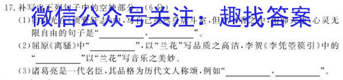 安徽省2023年中考导航总复习三轮模拟（一）语文