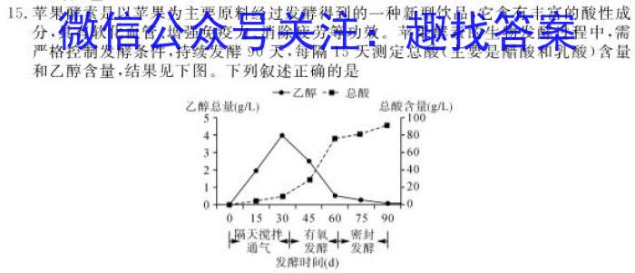 2024-2025学年度上学期高三自我提升一数学