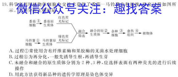 安徽省2023-2024学年度八年级阶段质量检测【PGZX D-AH &】数学