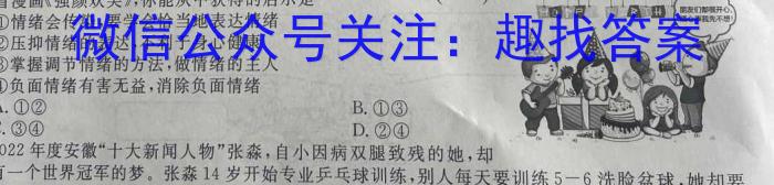 咸宁市2022-2023学年度下学期高一年级高中期末考试地理.