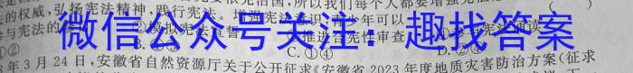 陕西省安康市2024-2023学年度八年级第二学期期末调研试题（卷）q地理